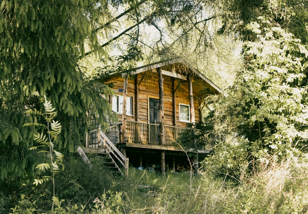 a house in the woods