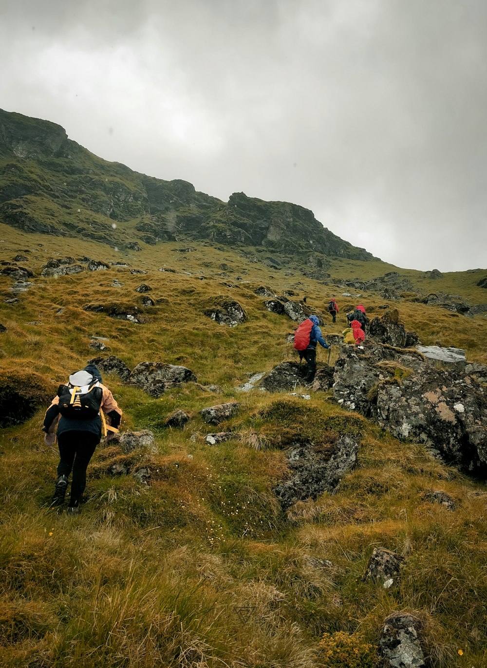 a group of people hiking