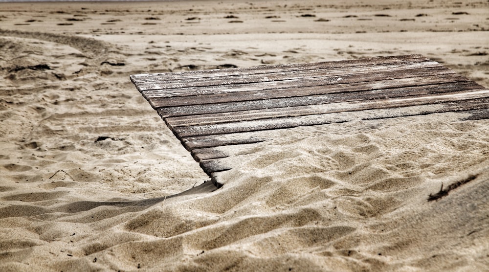 a piece of wood in the sand