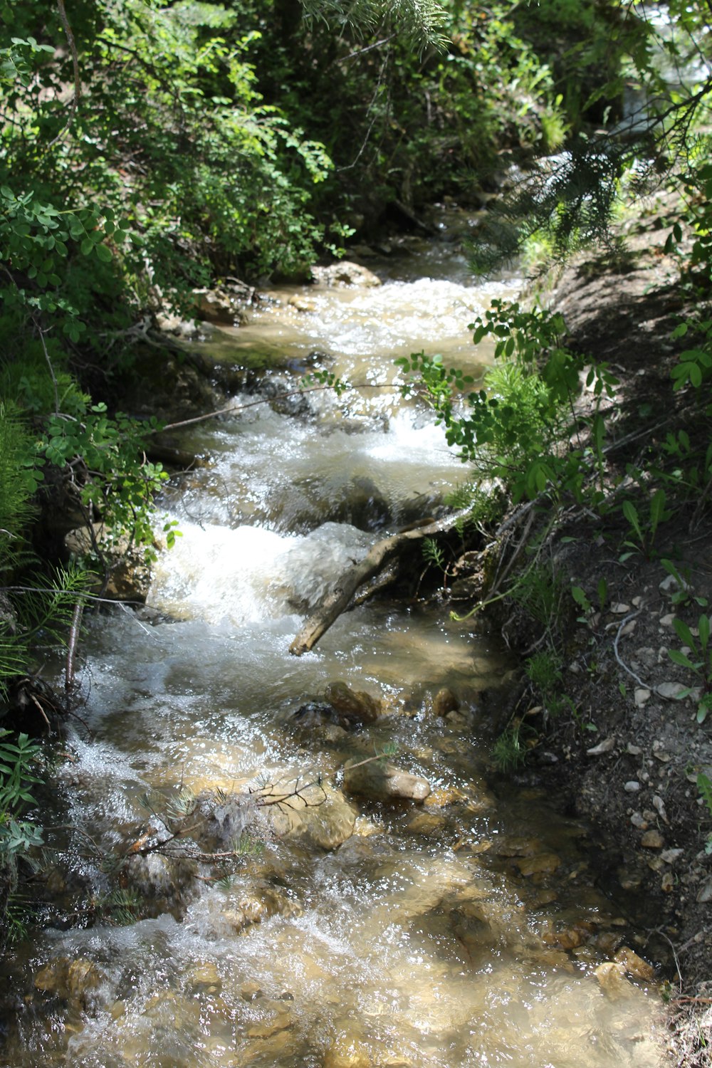 a small river with a waterfall