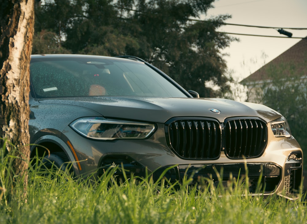 a car parked in a grassy area