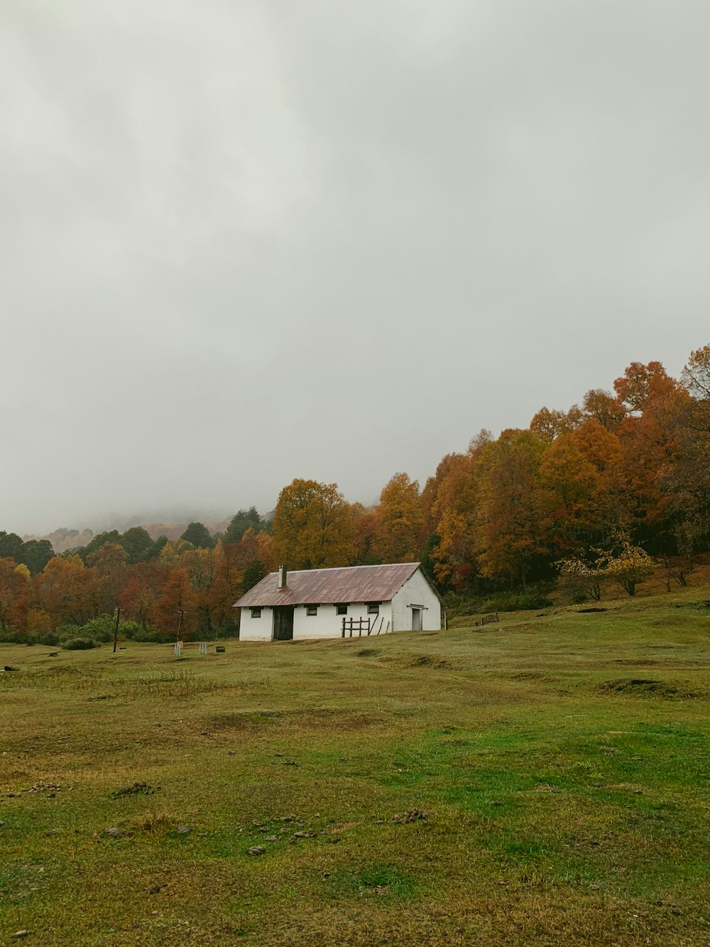 a house in a field with trees in the back