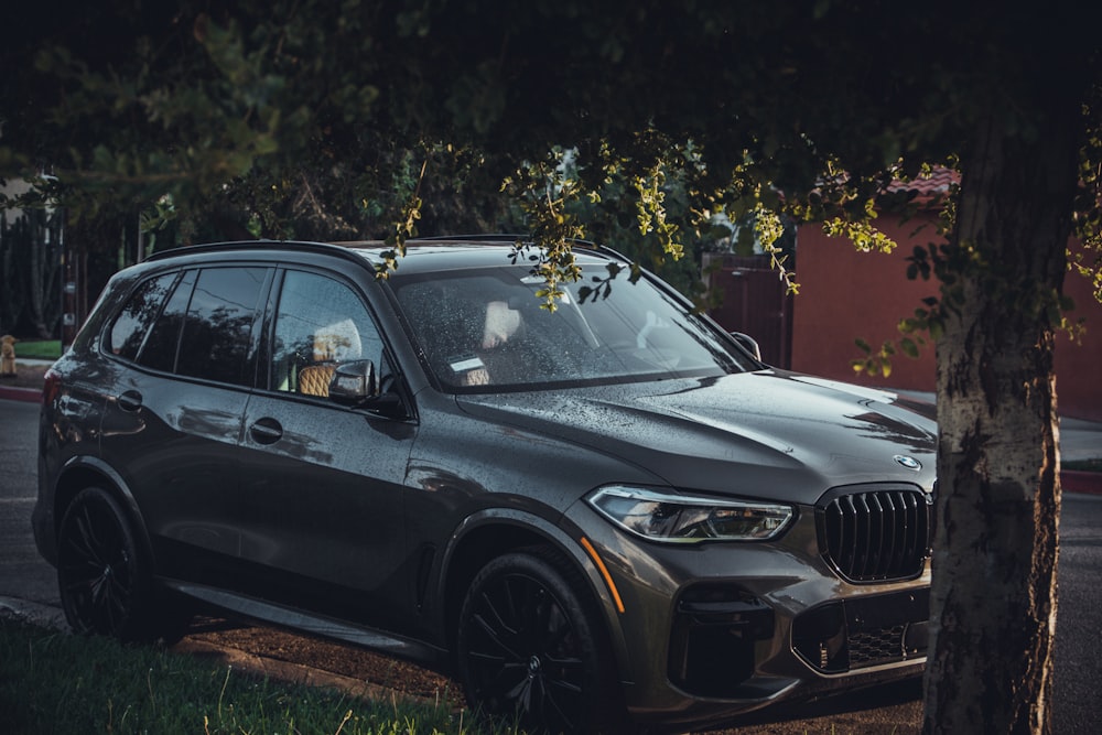 a car parked by a tree