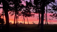 A sunset silhouette of volunteers cleaning up a park, symbolizing care and stewardship.