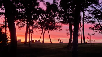 A sunset silhouette of volunteers cleaning up a park, symbolizing care and stewardship.