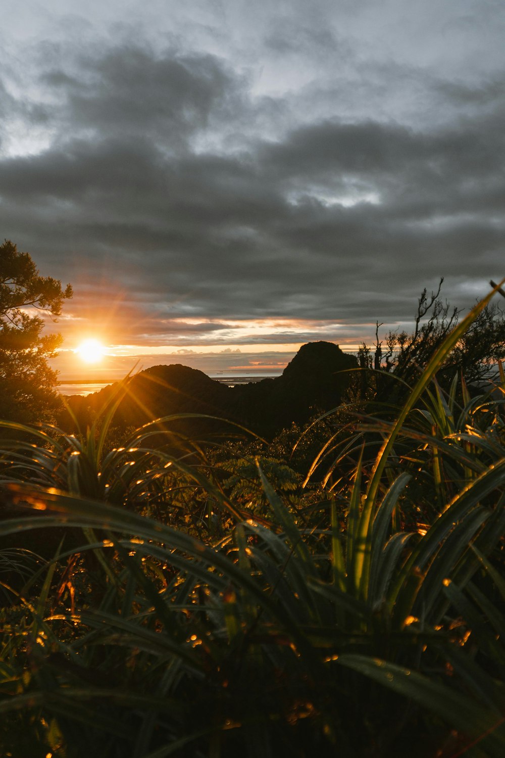 a sunset over a grassy hill