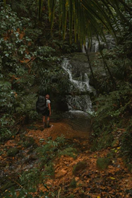 Backpackers standing at the edge of a waterfall, surrounded by dense tropical rainforest.