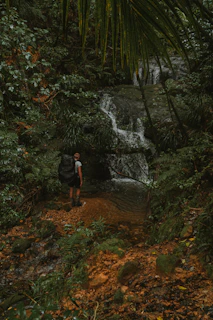 Backpackers standing at the edge of a waterfall, surrounded by dense tropical rainforest.