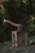 a knife on a tree stump