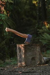 a knife on a tree stump