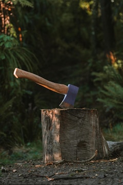 a knife on a tree stump