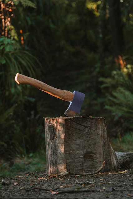 a knife on a tree stump
