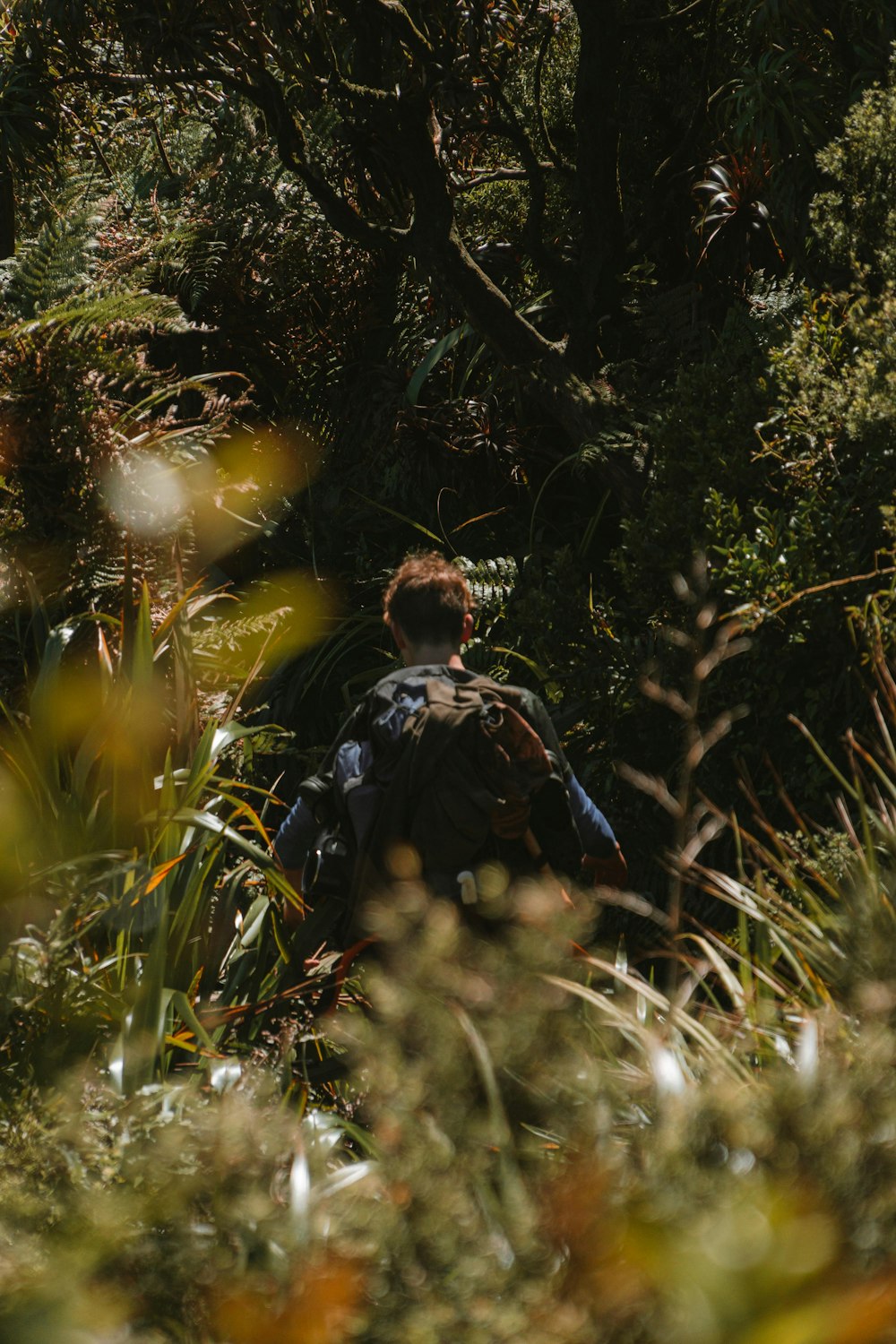 a person in a forest