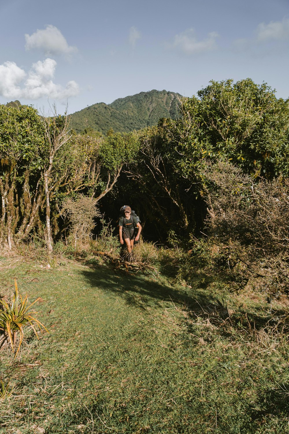 a man walking in a field