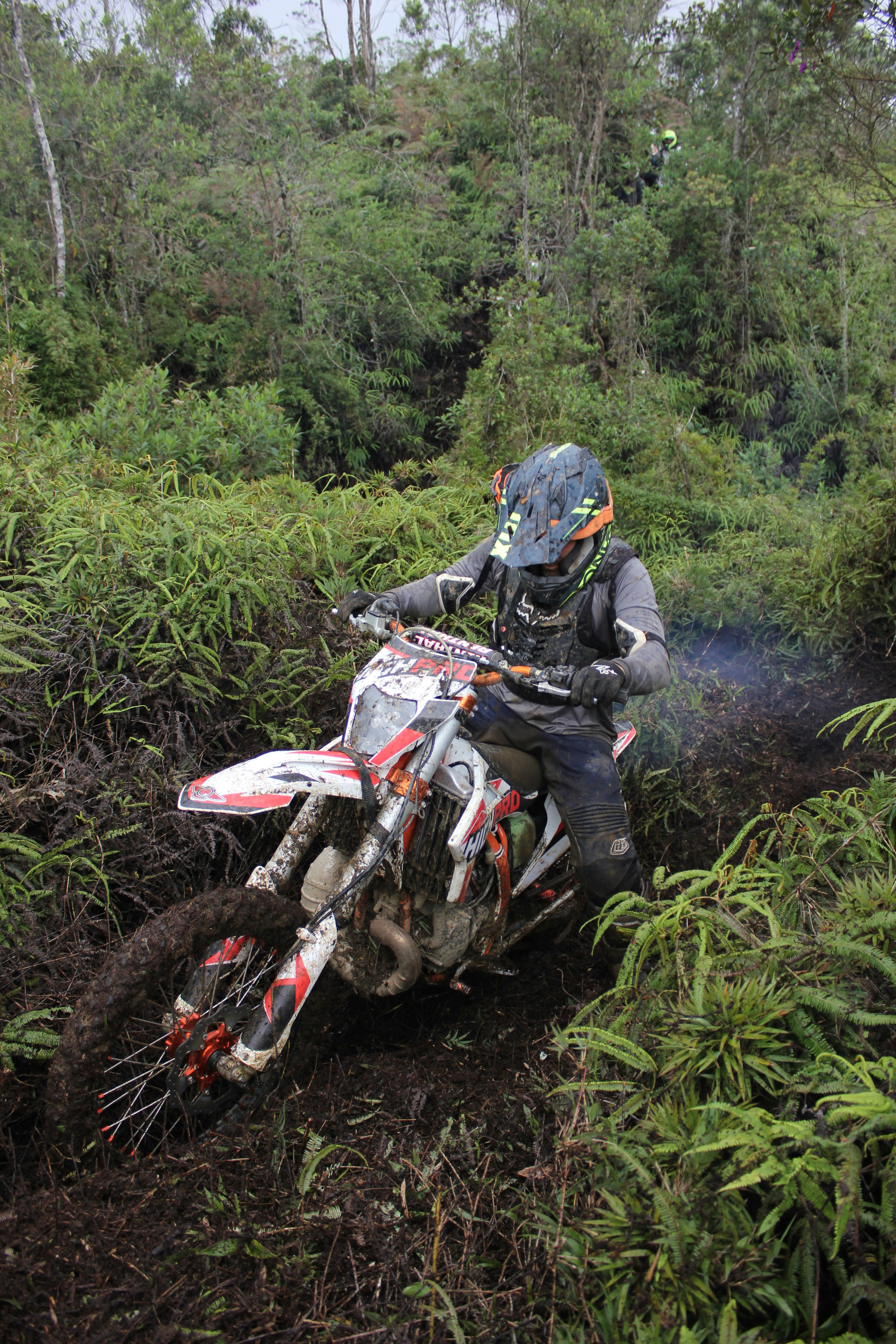 Honda CRF250F trail motorcycle on dirt path through forest, off-road adventure, beginner friendly