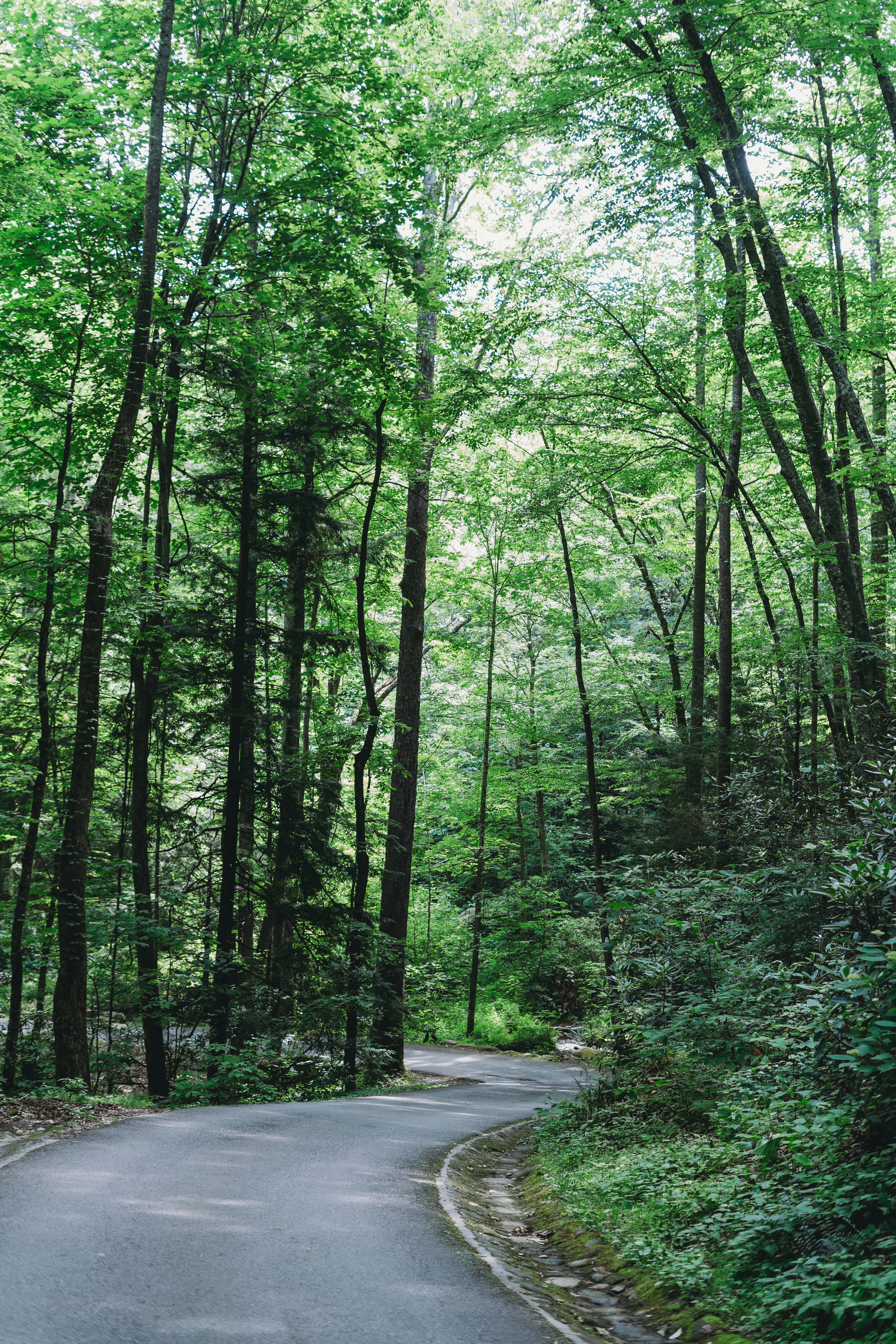 Photo by stevenvanelk