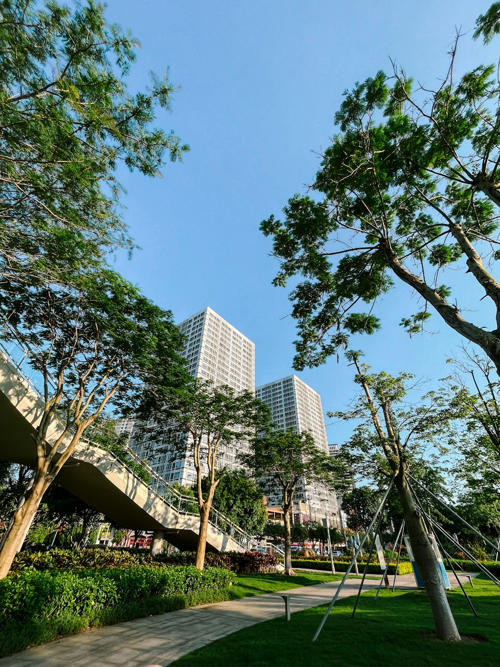 a park with trees and buildings in the background