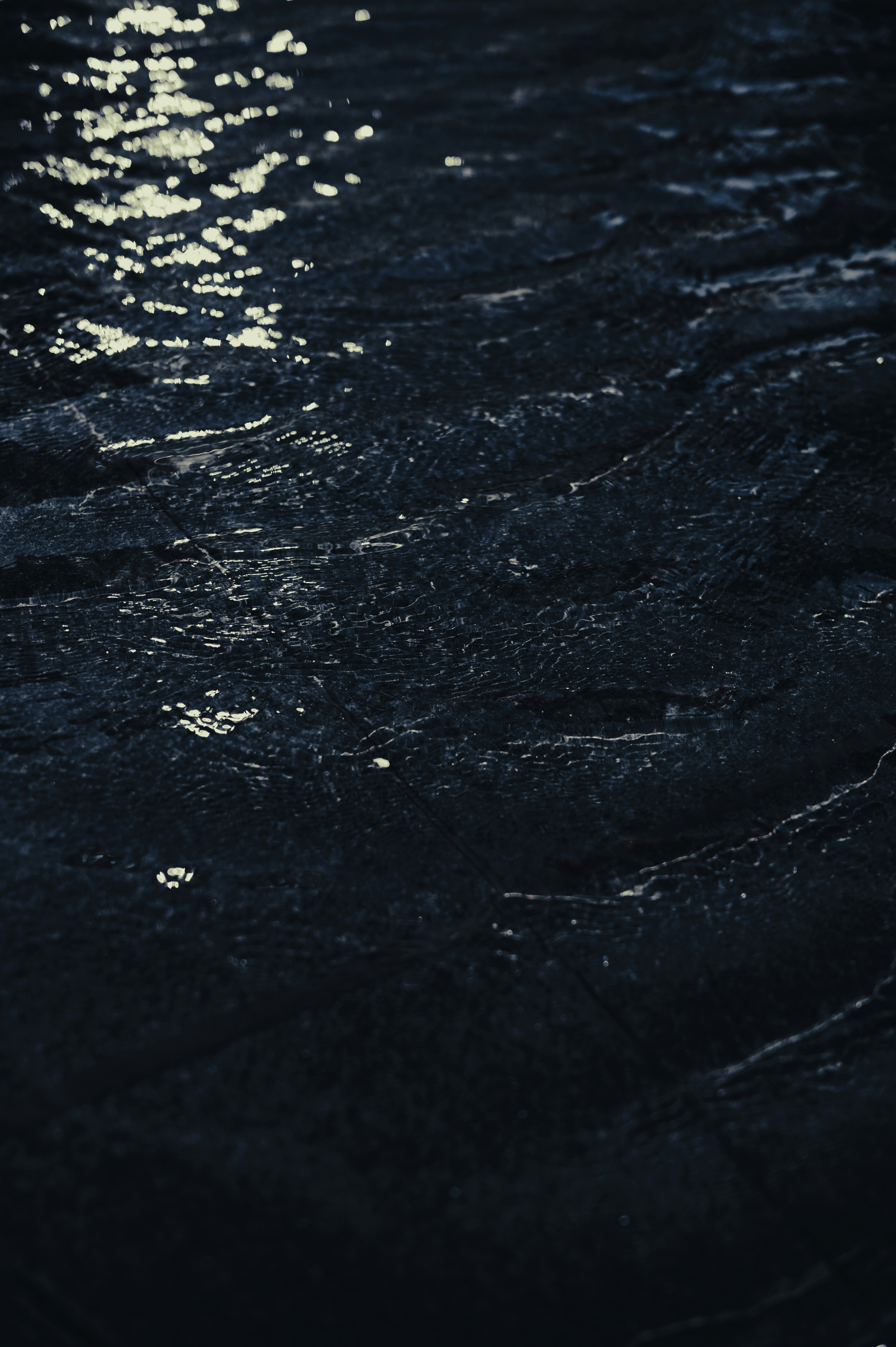 Photo by ryunosuke_kikuno