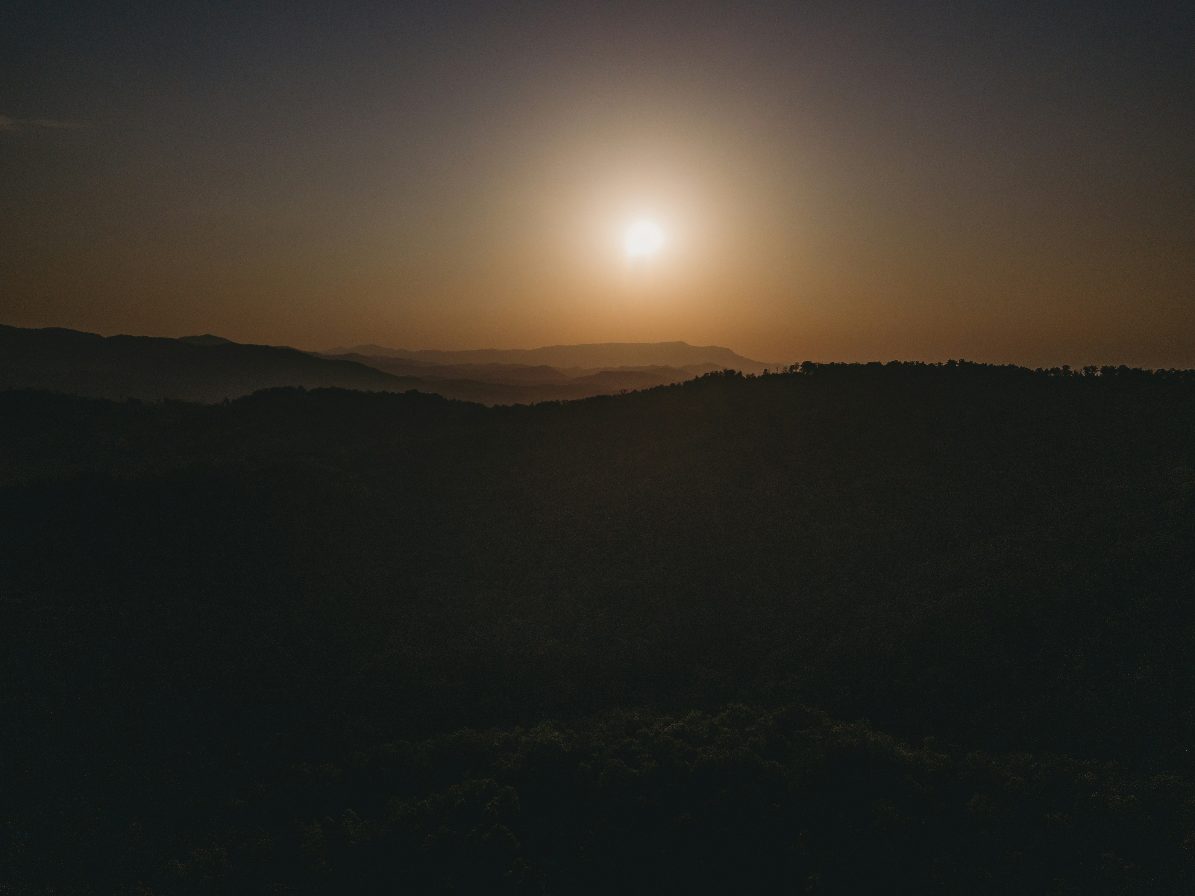 Photo by stevenvanelk