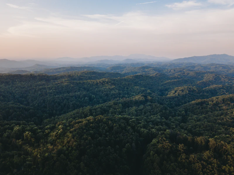 Smoky Mountains hiking trails near Knoxville Tennessee