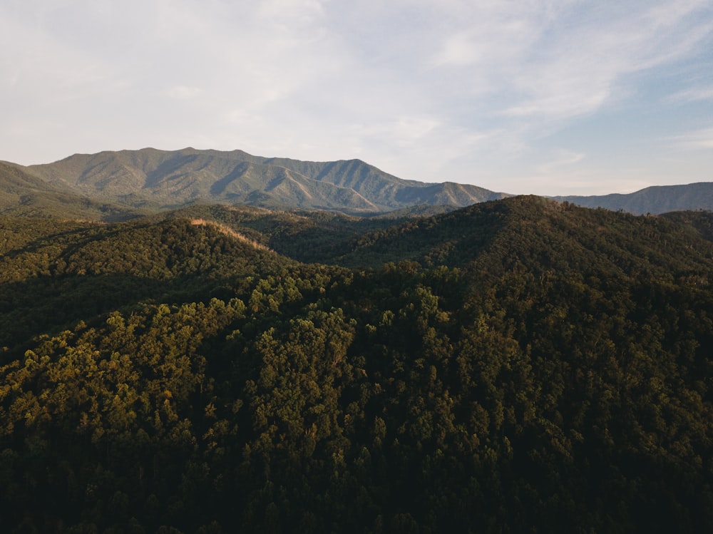 a landscape with trees and mountains in the background