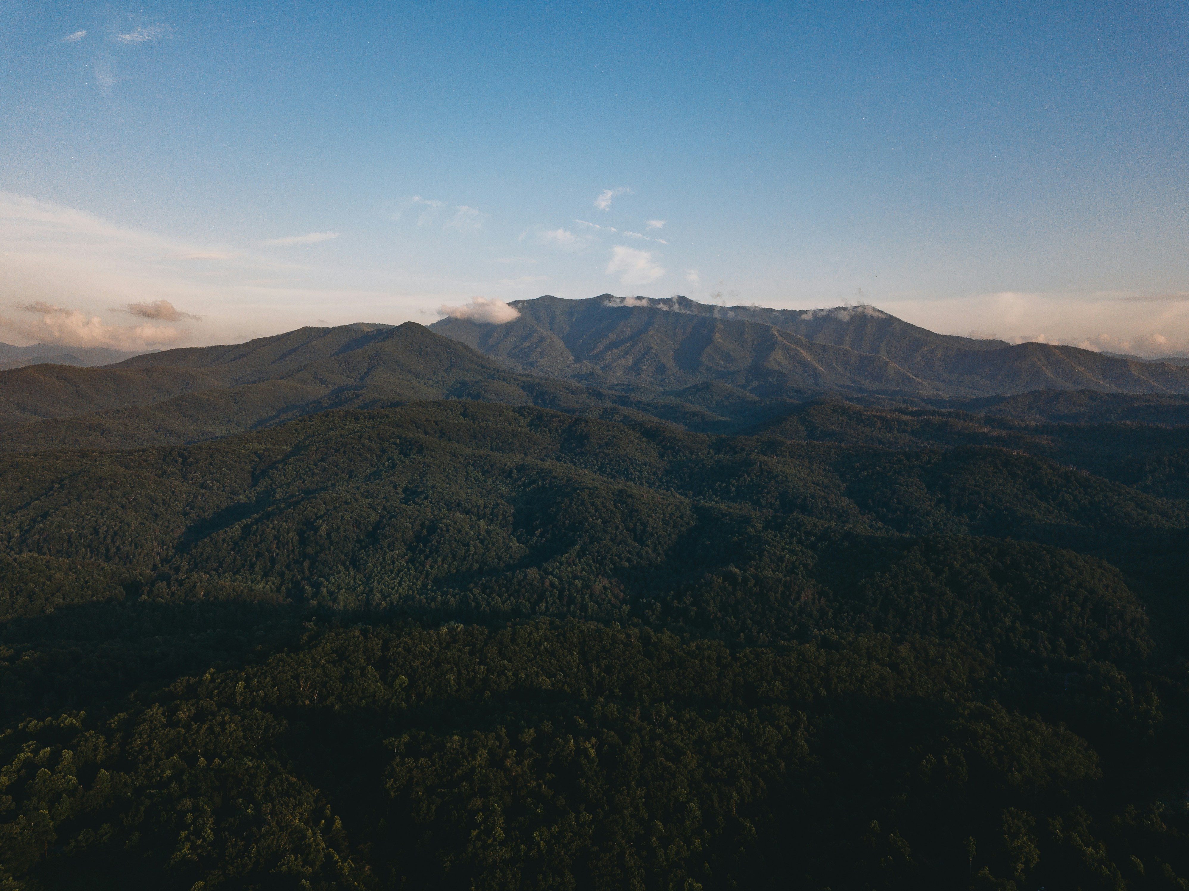 Photo by stevenvanelk