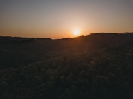 A sunset view over a peaceful forest, highlighting the beauty of the natural environment.