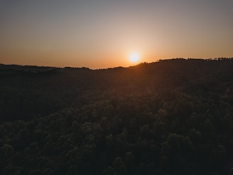 A serene sunset over a densely forested landscape with the sun casting a warm glow over the horizon. The silhouette of the treetops creates a natural and peaceful atmosphere.