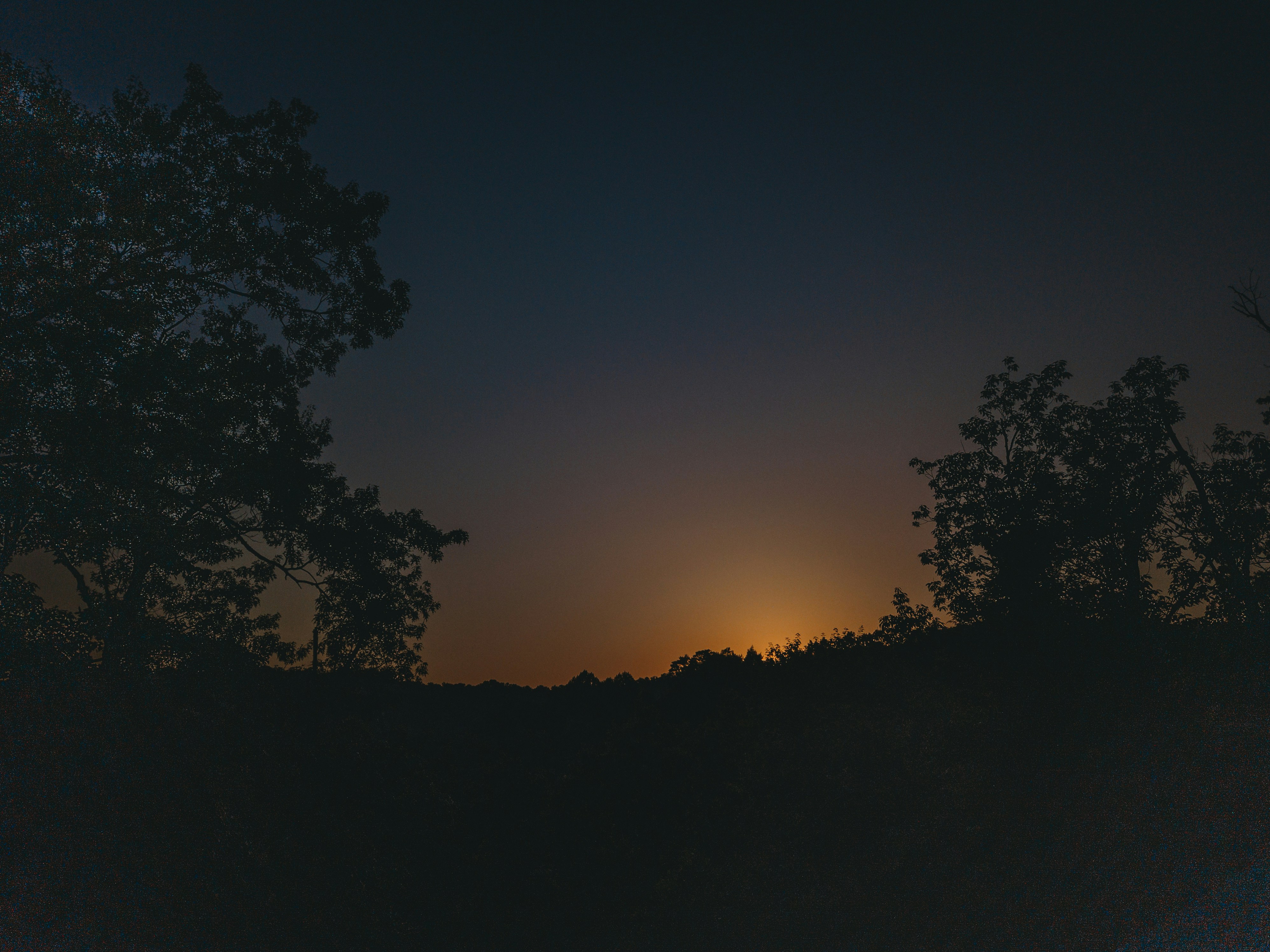 Photo by stevenvanelk