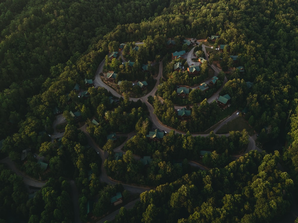 a small town surrounded by trees