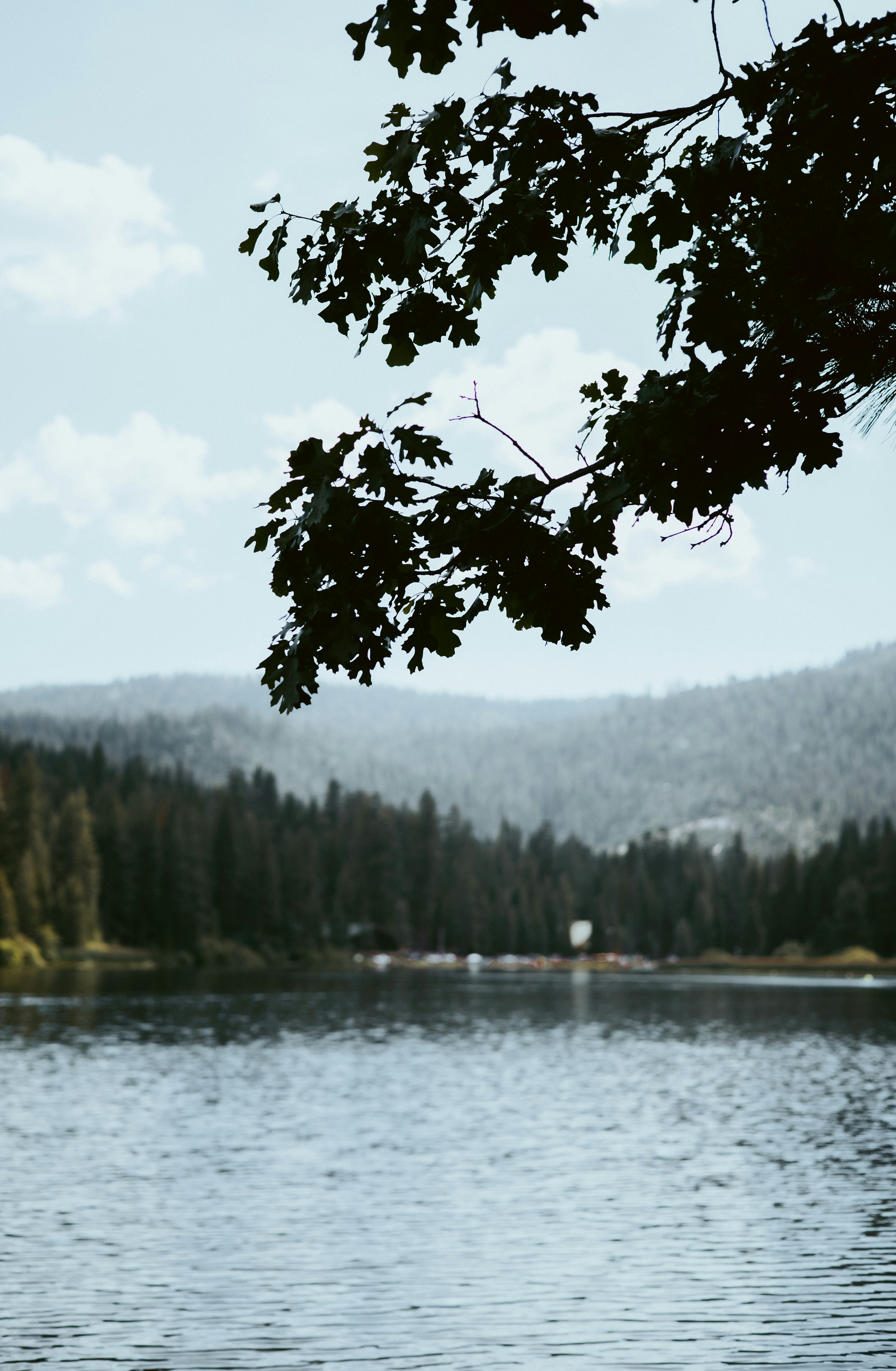 Photo by jeffersonsees