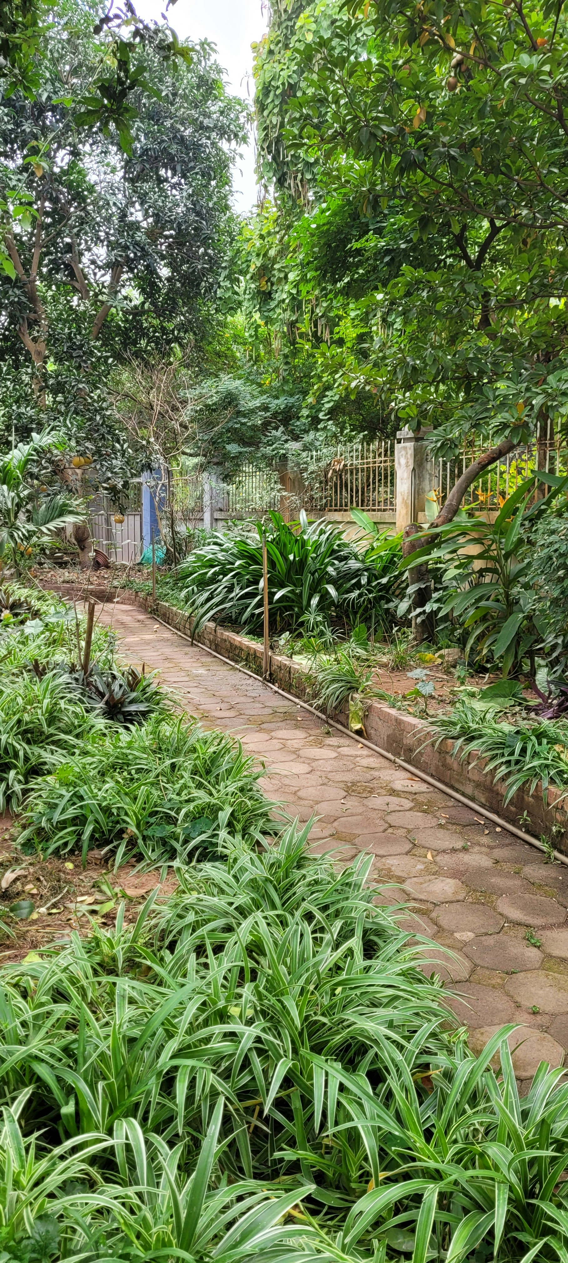 Professionally laid stone walkway through a lush green garden with curved pathway design