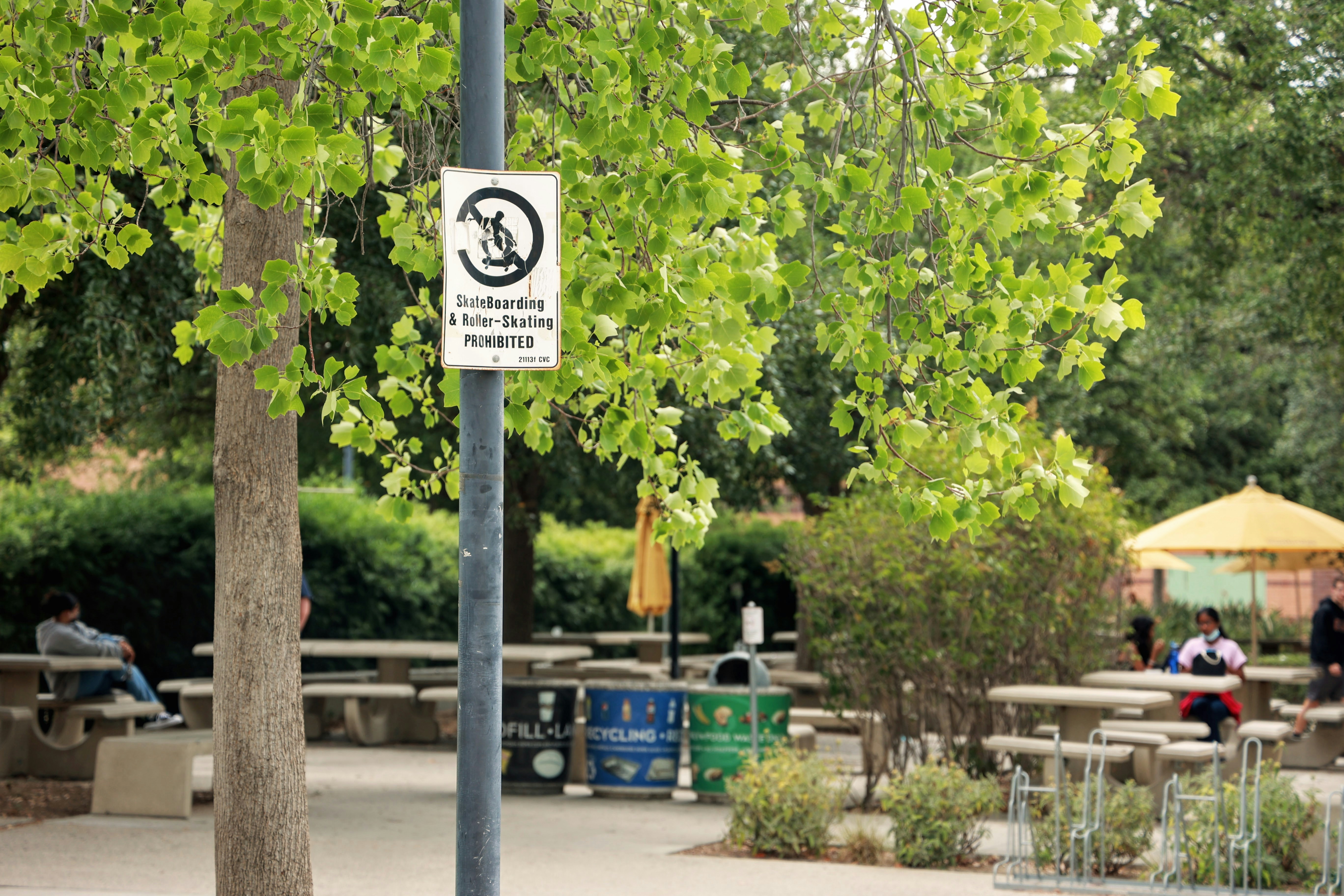 Photo by paola_canasvaladez