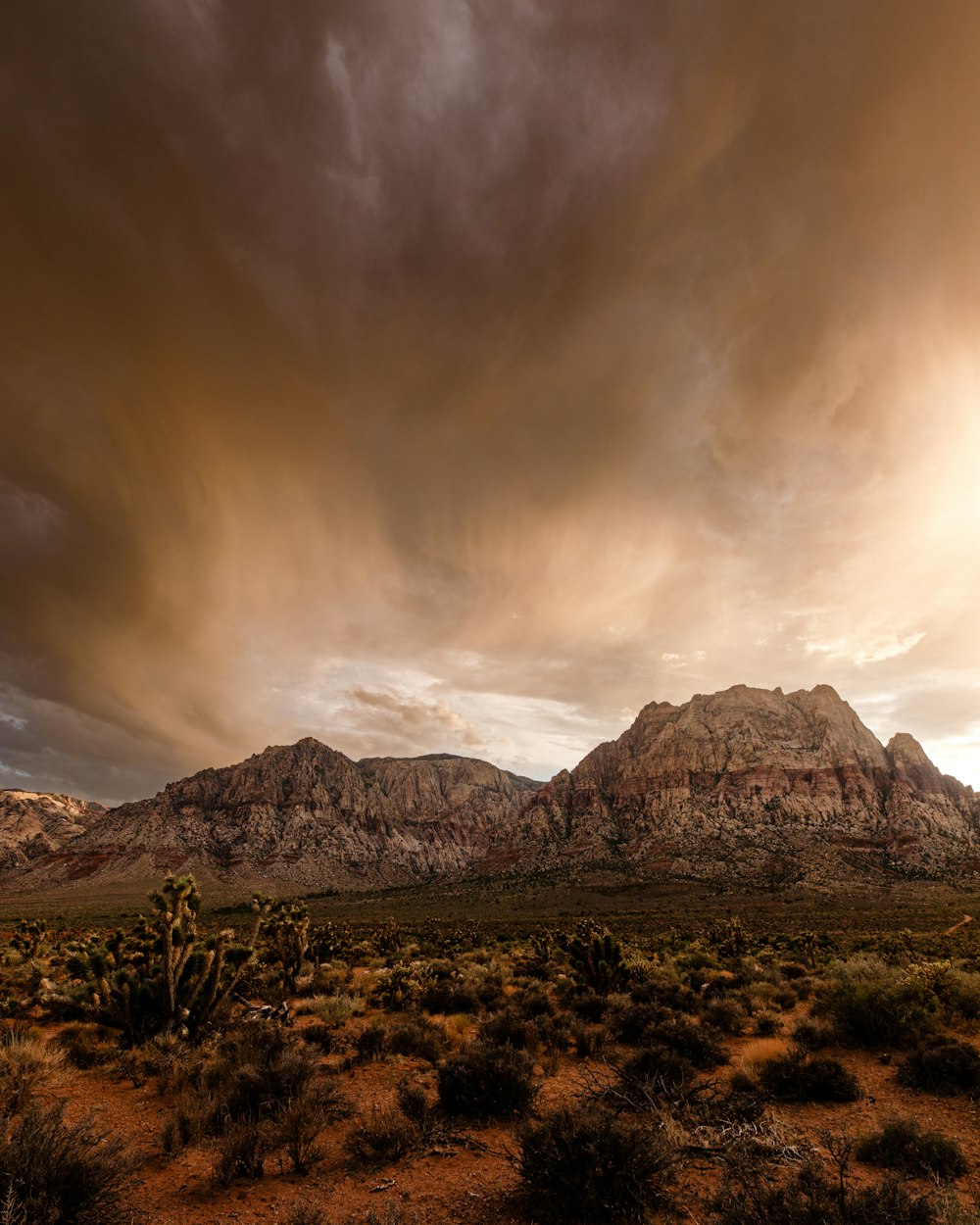 a desert landscape with mountains