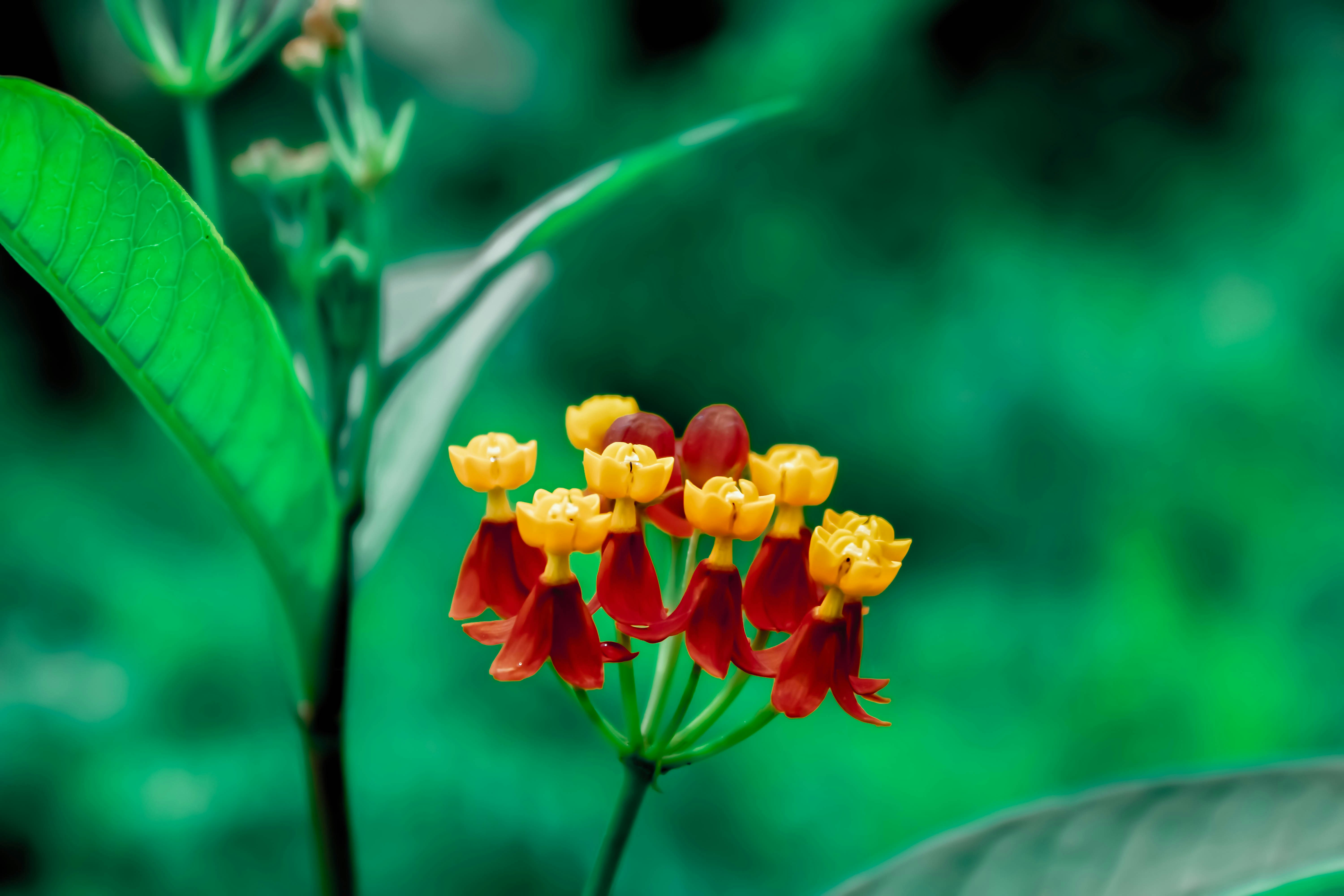 Photo by tears_production10