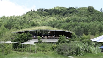 A modern building with a curved roof blends with the surrounding lush greenery and rolling hills. The structure features large glass windows and is partially obscured by tall trees and foliage, giving a sense of harmony with nature. A few people are visible inside the building, suggesting it is occupied.