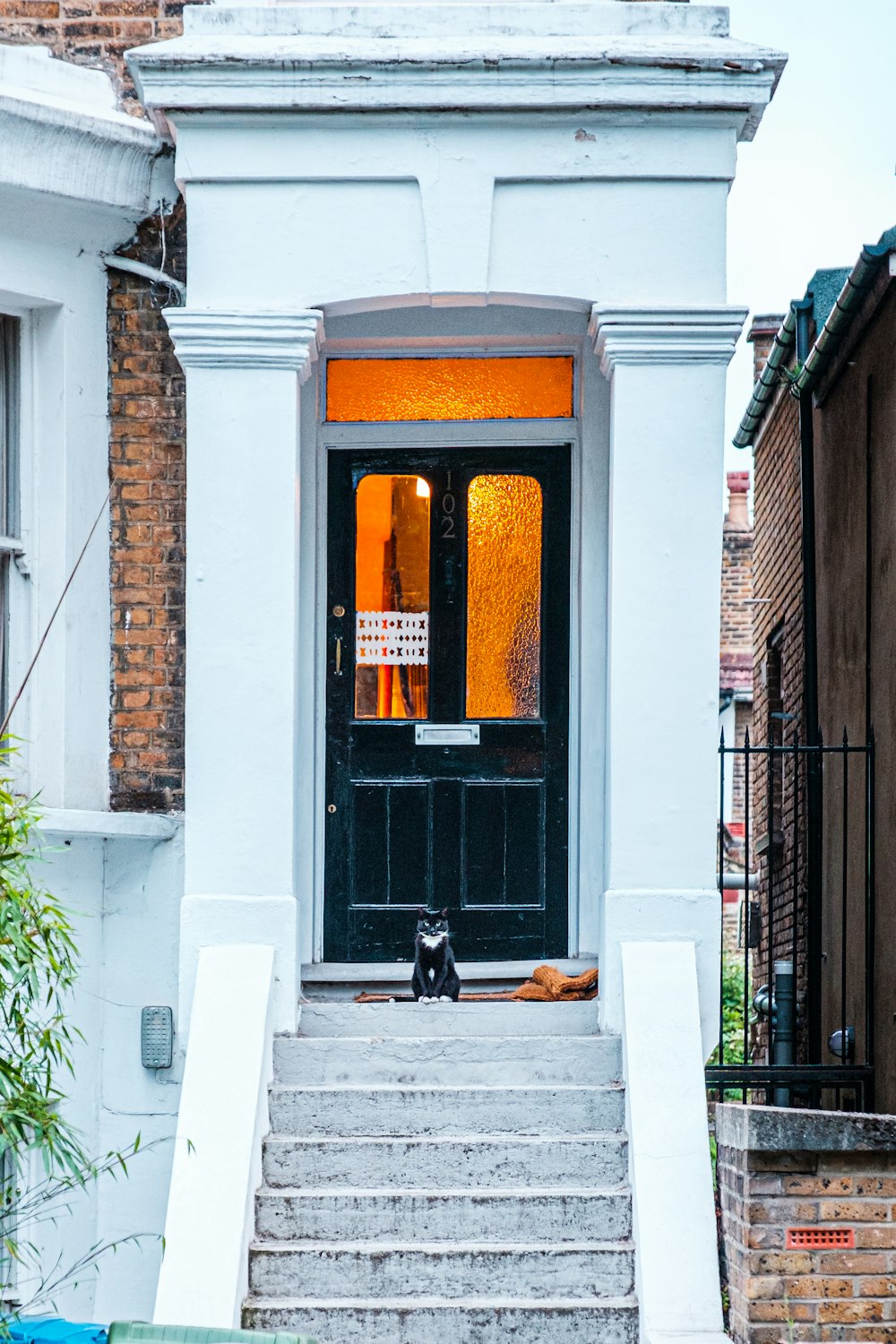 a cat sitting on the steps of a building