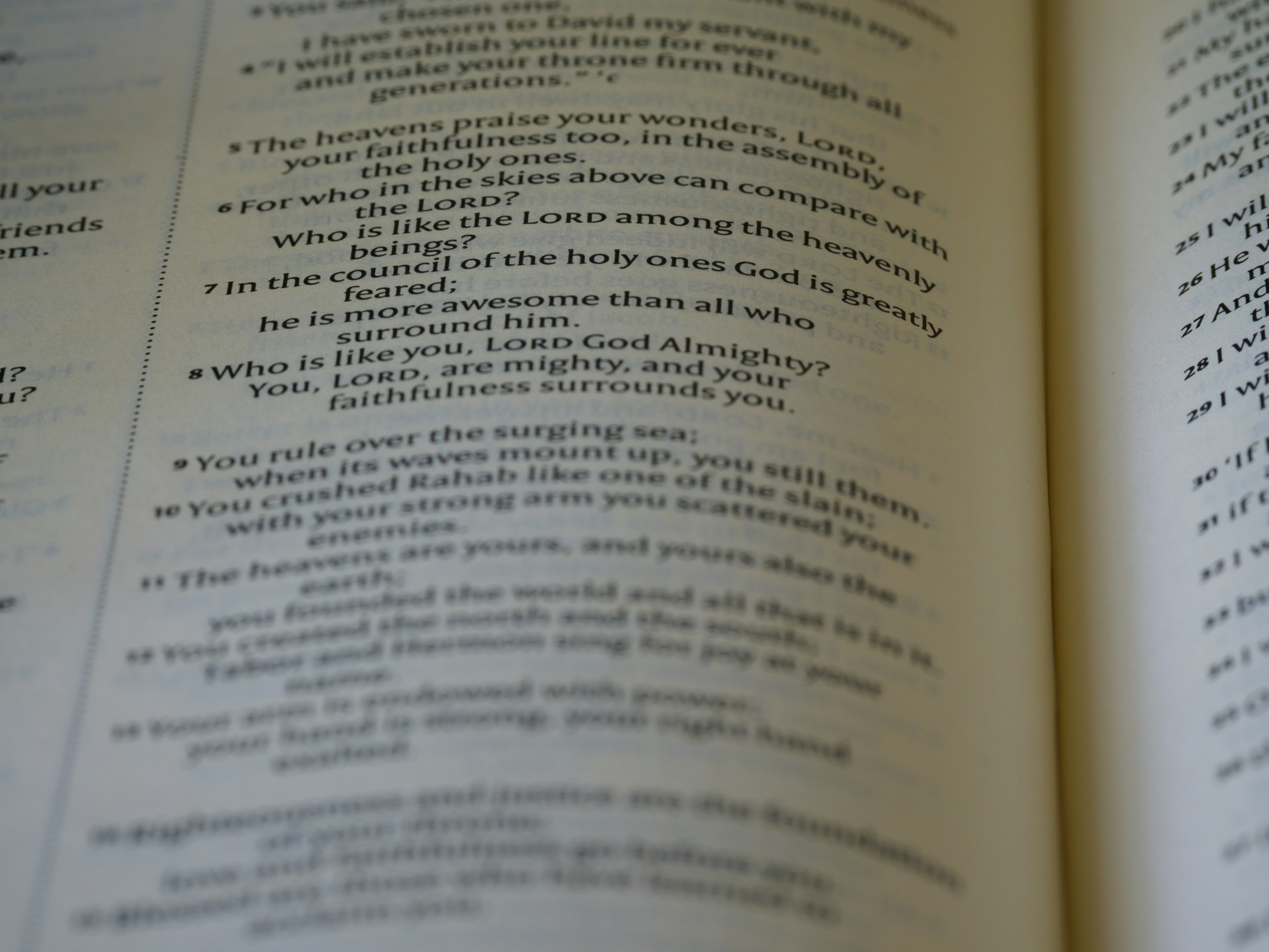 a book open to a page with text