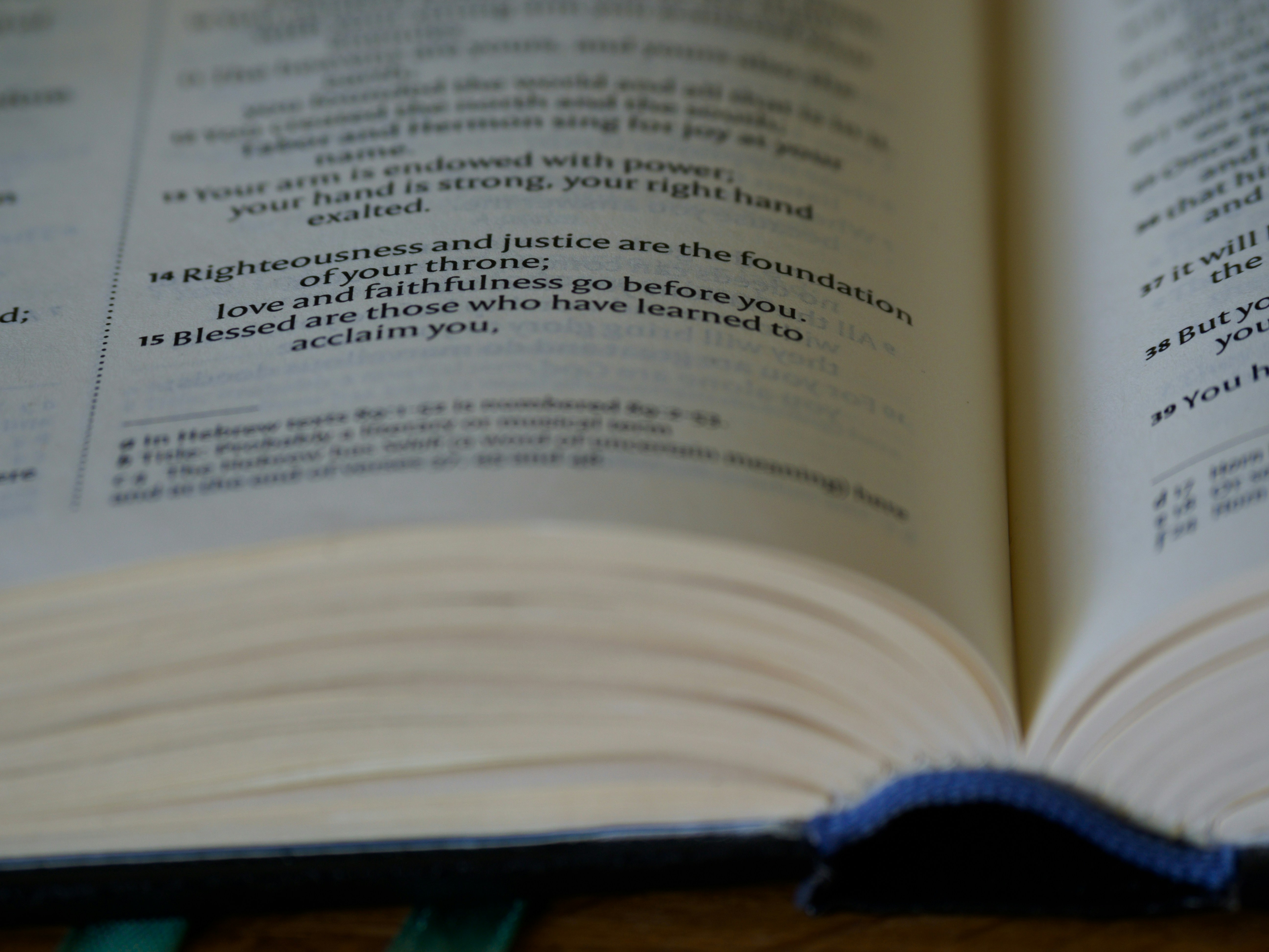 Photo by brett_jordan