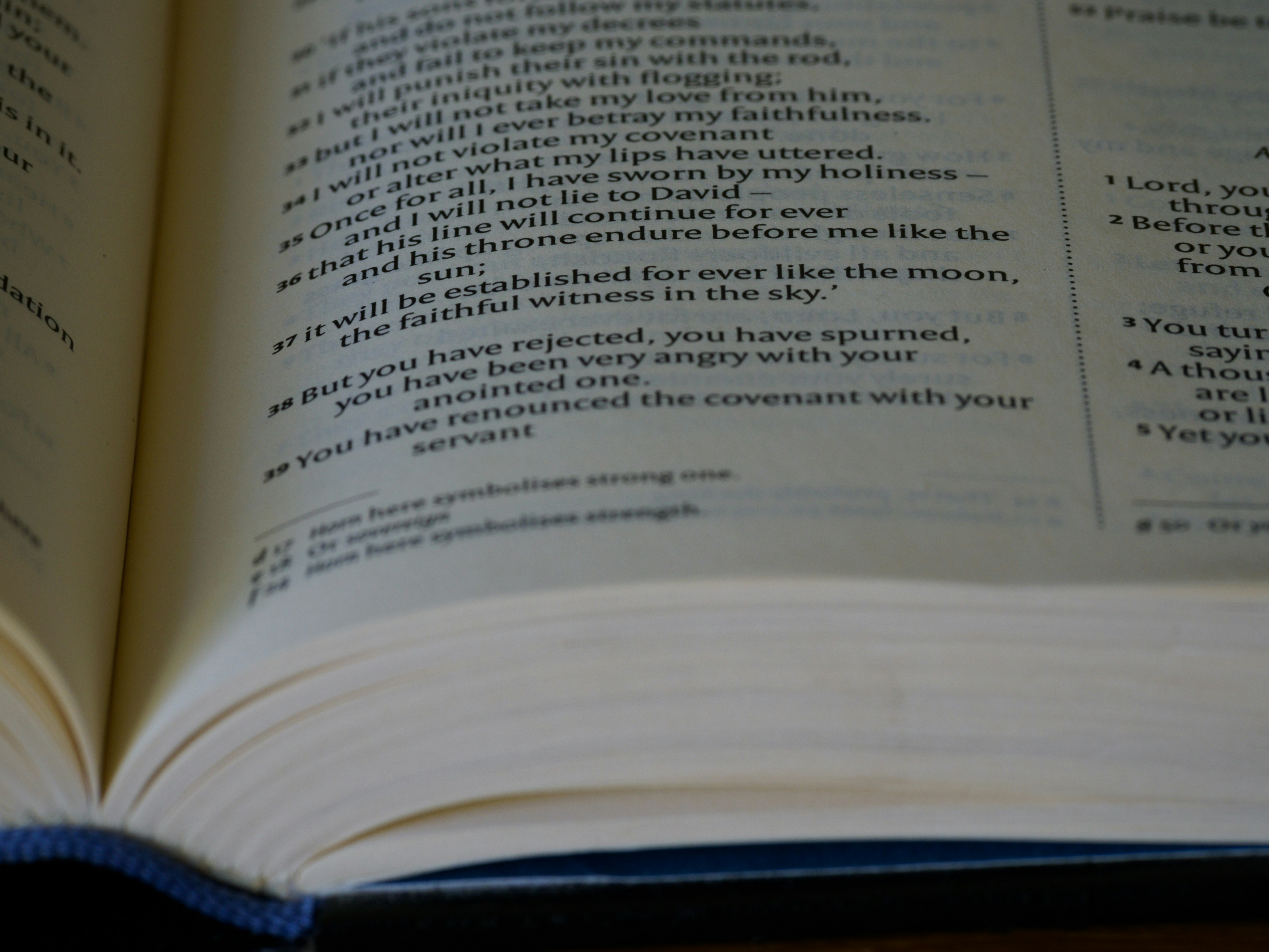 close up, bokeh, macro, blur, blurred background, close focus, bible, old testament, hebrew bible, christian, judaism, history, text, reading, bible study, devotions, text, NIV, New International Version, type, typography, canon, christianity, holy scripture, holy bible, scripture, old testament, hebrew bible, תְּהִלִּים, psalms, psalter, ketuvim, writings, tanakh, king david, <br>