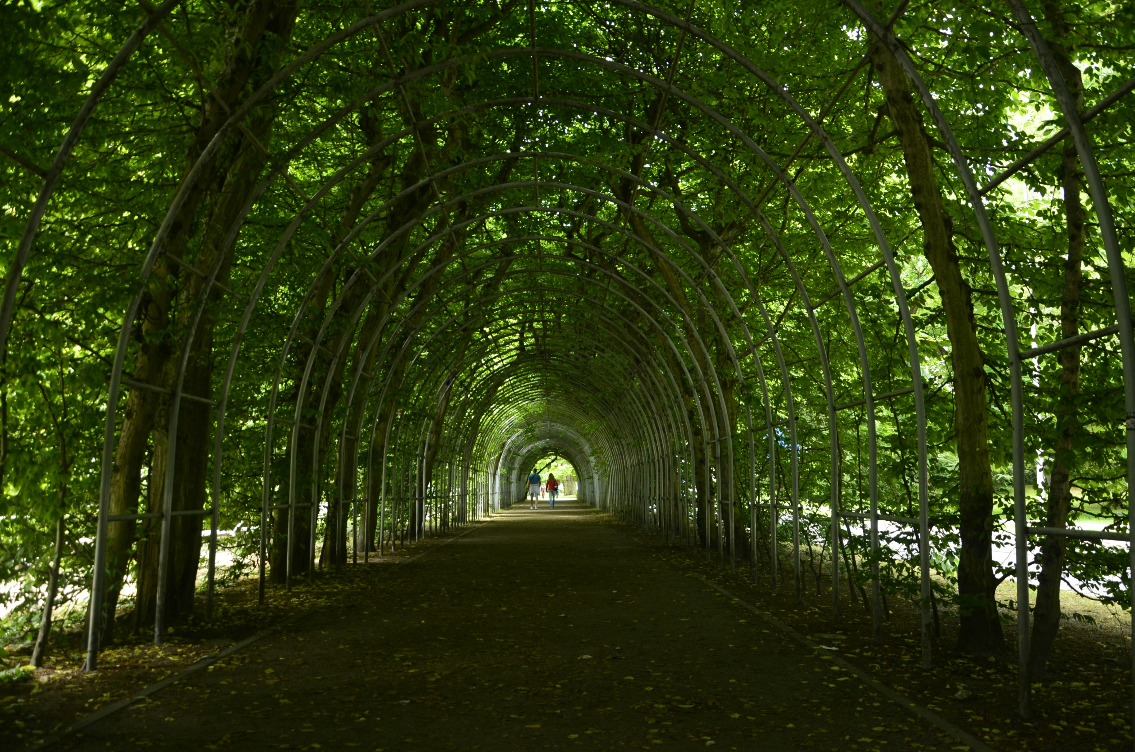 Photo by renovatio72