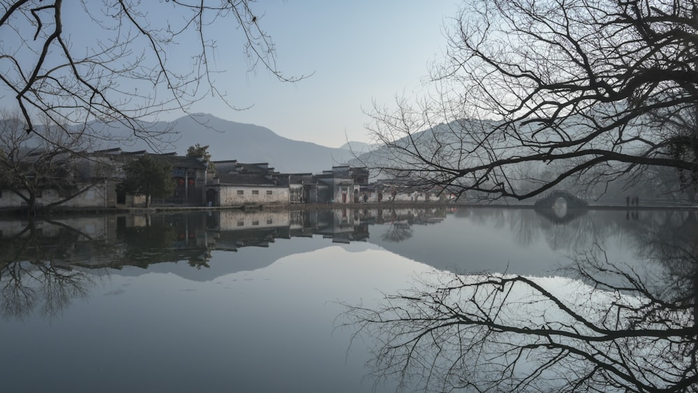 a body of water with buildings and trees around it