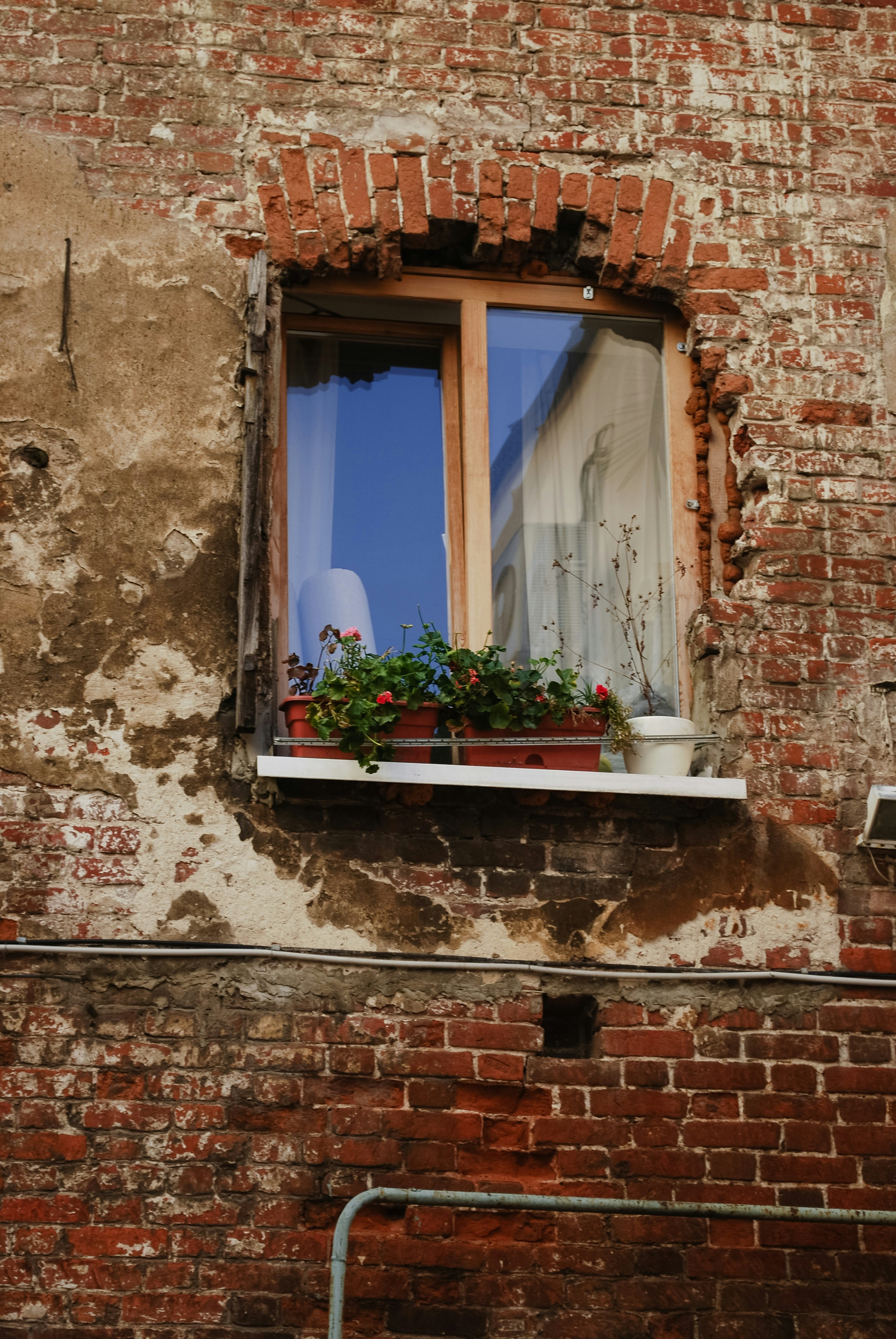 Photo by lapshinakseniia