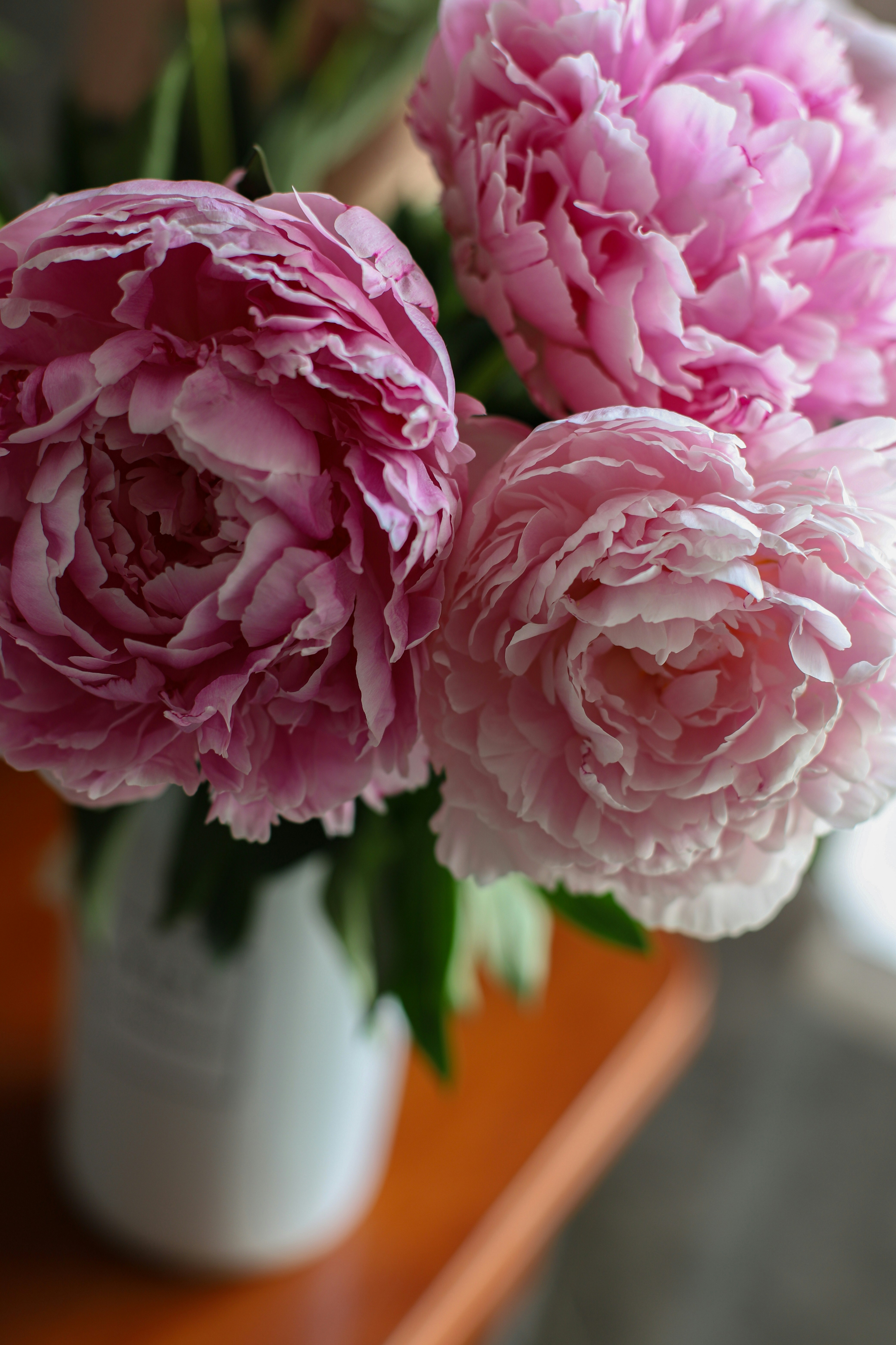 Elegant Plastic Peonies