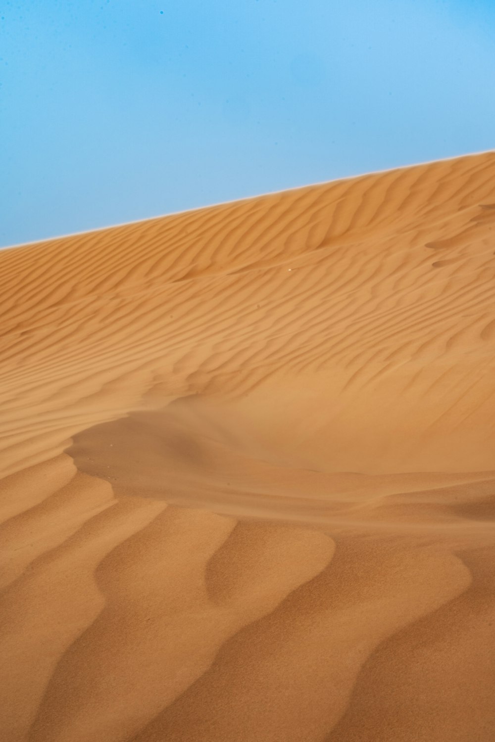 a large desert landscape