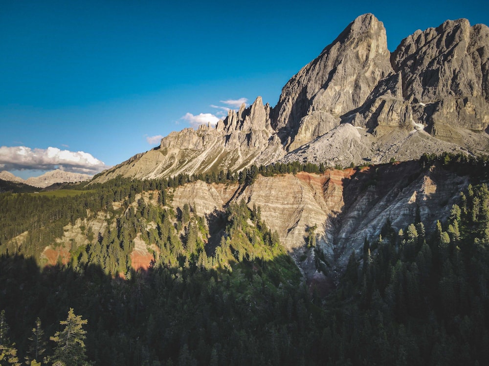 una montagna rocciosa con alberi