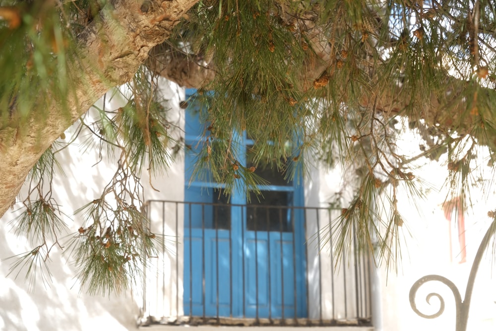 Una puerta azul con un árbol en el fondo