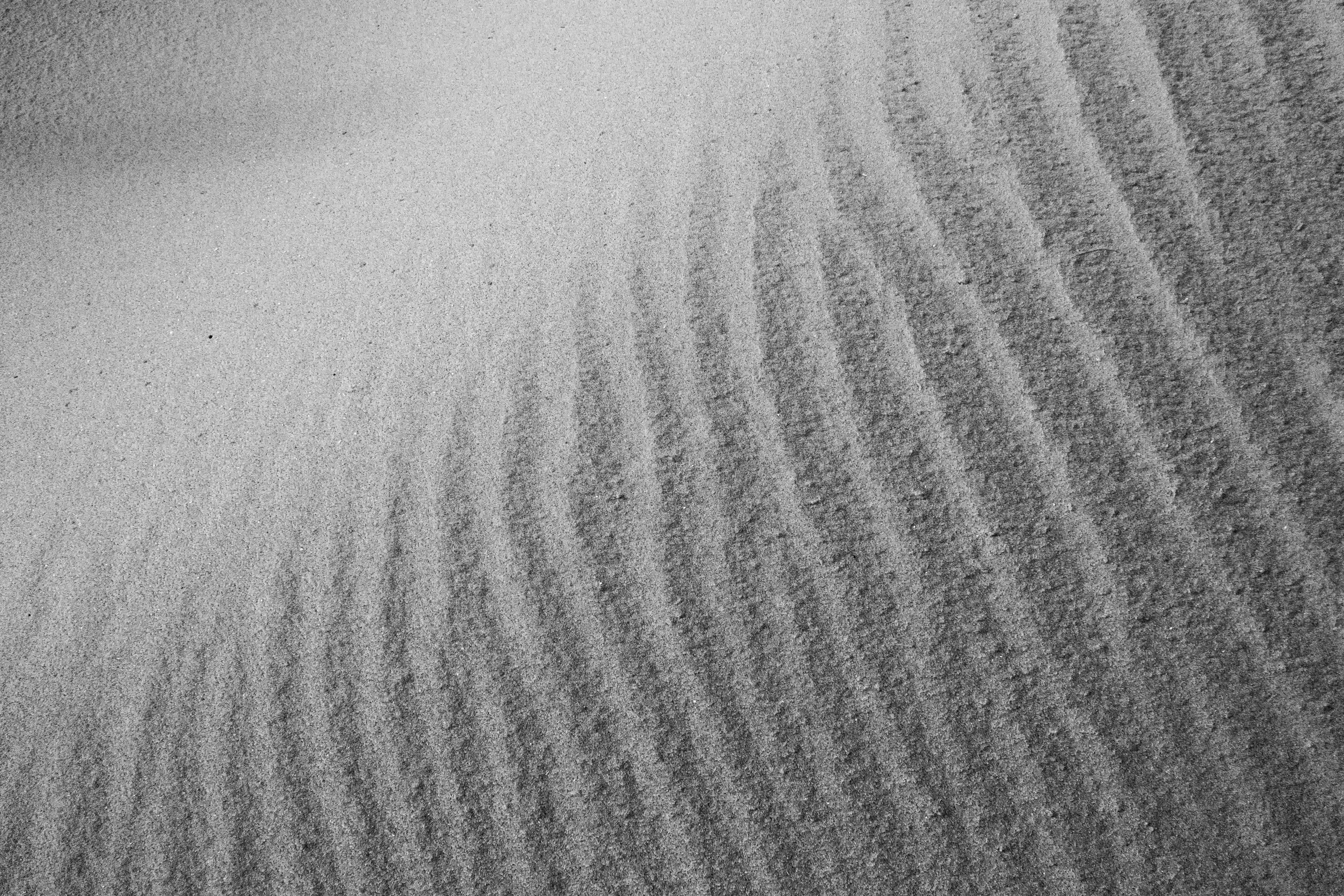 Photo by mathijsdekoning