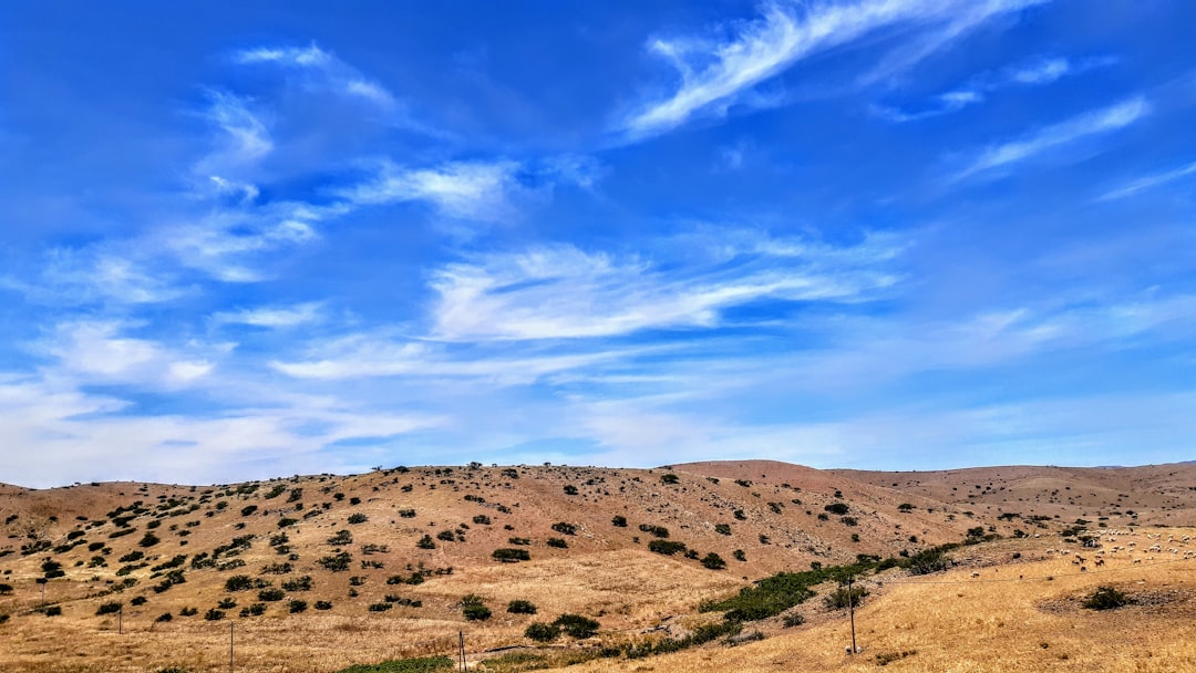 Plain photo spot Khouribga Province Morocco