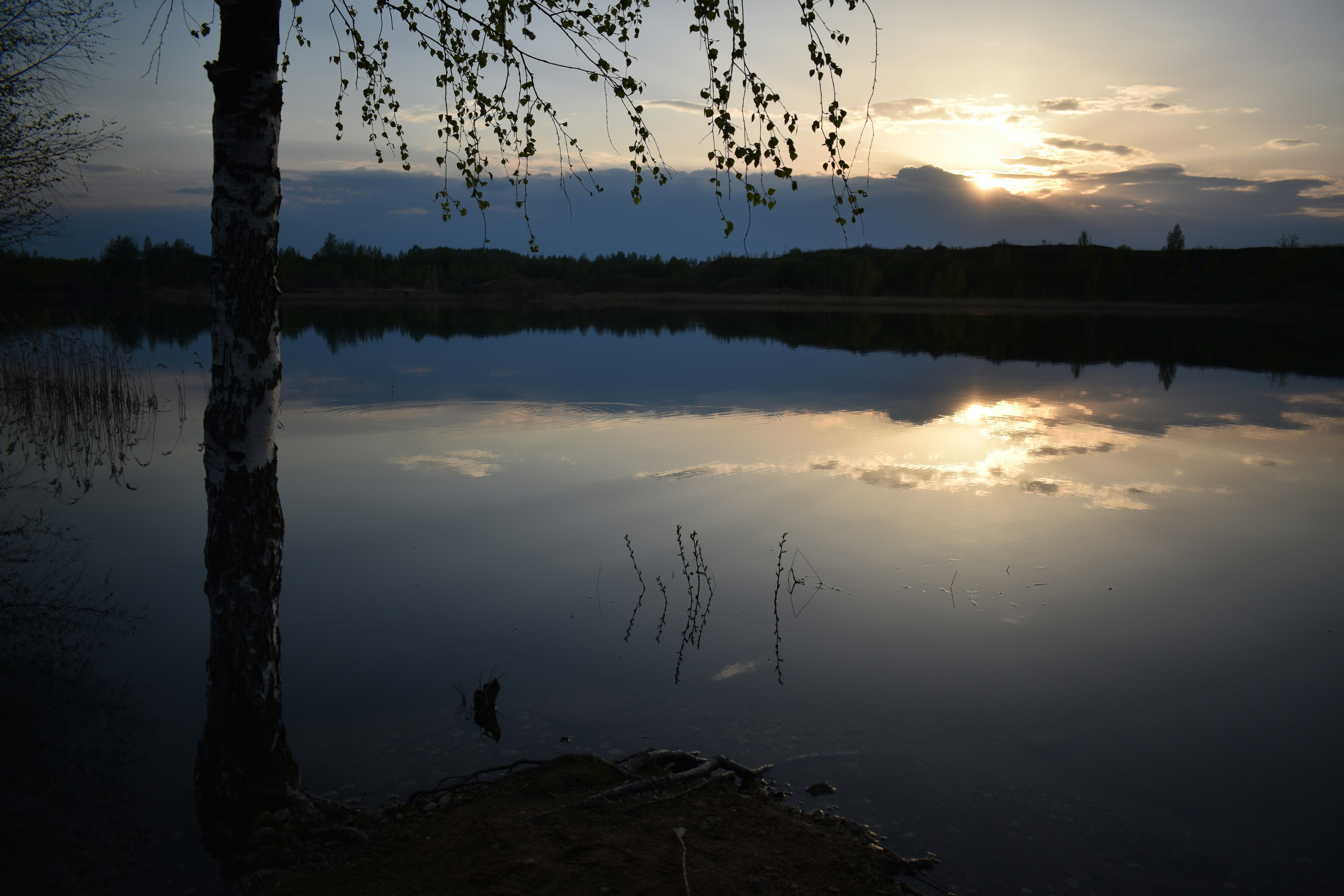 Photo by korovich